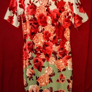 Sale 10 & under 2/15 rose are red... bodycon dress